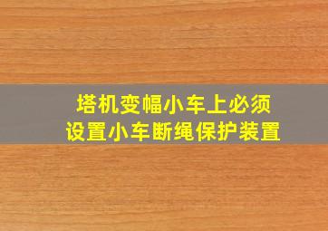 塔机变幅小车上必须设置小车断绳保护装置