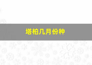 塔柏几月份种