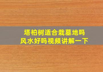 塔柏树适合栽墓地吗风水好吗视频讲解一下