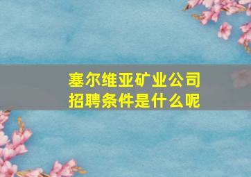 塞尔维亚矿业公司招聘条件是什么呢