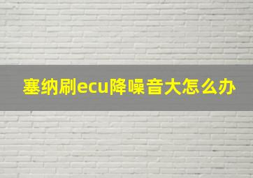 塞纳刷ecu降噪音大怎么办