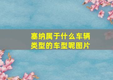 塞纳属于什么车辆类型的车型呢图片