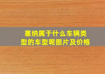 塞纳属于什么车辆类型的车型呢图片及价格