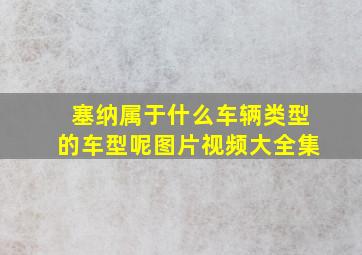 塞纳属于什么车辆类型的车型呢图片视频大全集