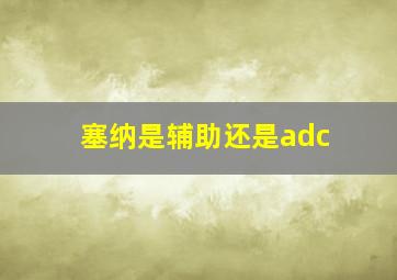 塞纳是辅助还是adc