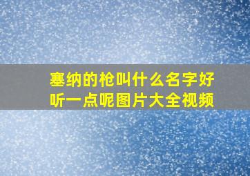 塞纳的枪叫什么名字好听一点呢图片大全视频