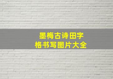 墨梅古诗田字格书写图片大全