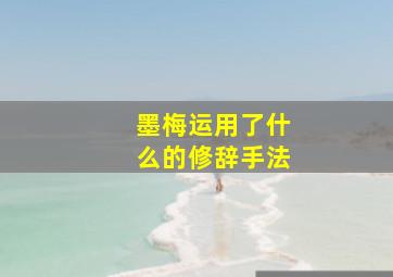 墨梅运用了什么的修辞手法