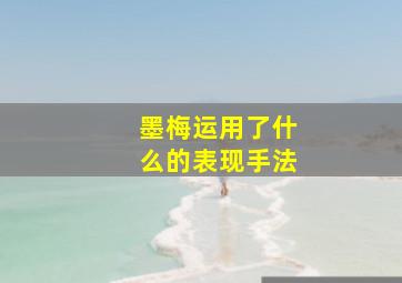 墨梅运用了什么的表现手法