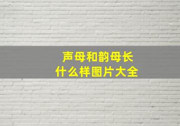 声母和韵母长什么样图片大全