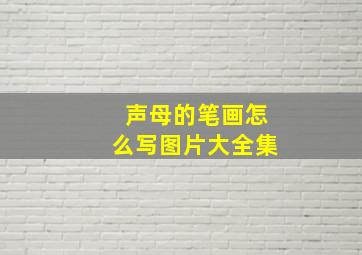 声母的笔画怎么写图片大全集