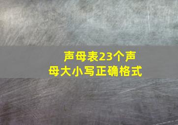 声母表23个声母大小写正确格式