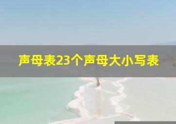 声母表23个声母大小写表