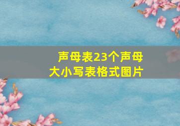 声母表23个声母大小写表格式图片