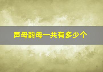 声母韵母一共有多少个