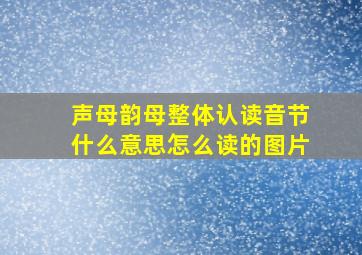 声母韵母整体认读音节什么意思怎么读的图片