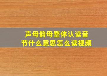 声母韵母整体认读音节什么意思怎么读视频