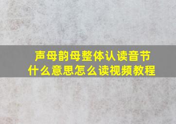 声母韵母整体认读音节什么意思怎么读视频教程