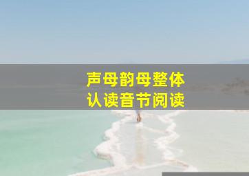 声母韵母整体认读音节阅读