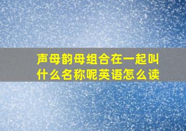 声母韵母组合在一起叫什么名称呢英语怎么读