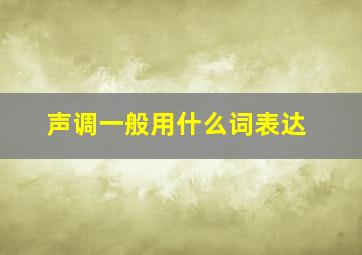 声调一般用什么词表达