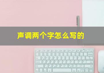 声调两个字怎么写的