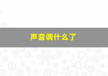 声音调什么了