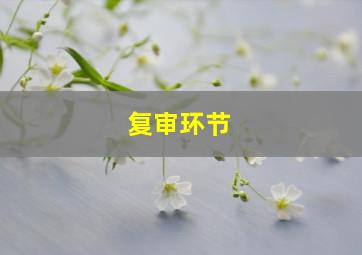 复审环节