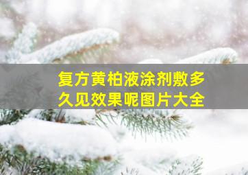 复方黄柏液涂剂敷多久见效果呢图片大全