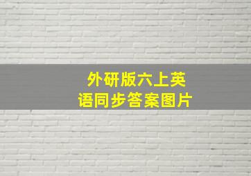 外研版六上英语同步答案图片