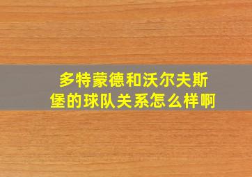 多特蒙德和沃尔夫斯堡的球队关系怎么样啊