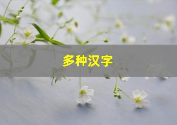 多种汉字