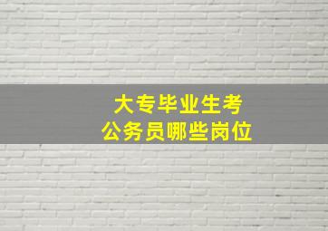 大专毕业生考公务员哪些岗位