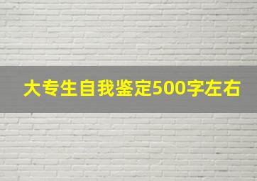 大专生自我鉴定500字左右