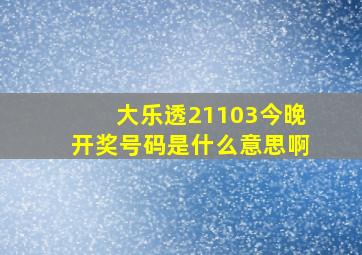 大乐透21103今晚开奖号码是什么意思啊