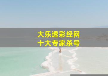 大乐透彩经网十大专家杀号