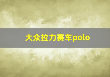 大众拉力赛车polo