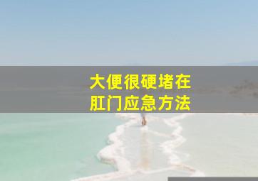 大便很硬堵在肛门应急方法