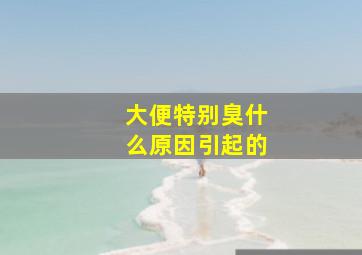 大便特别臭什么原因引起的