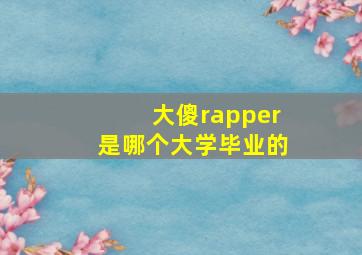 大傻rapper是哪个大学毕业的