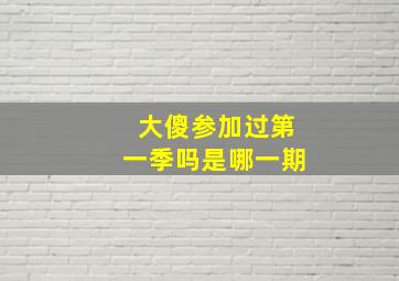 大傻参加过第一季吗是哪一期