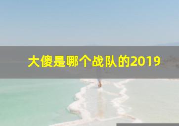 大傻是哪个战队的2019