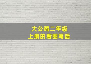 大公鸡二年级上册的看图写话