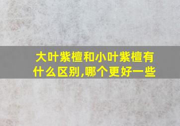 大叶紫檀和小叶紫檀有什么区别,哪个更好一些