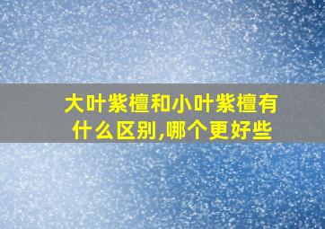 大叶紫檀和小叶紫檀有什么区别,哪个更好些