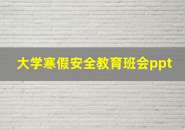 大学寒假安全教育班会ppt