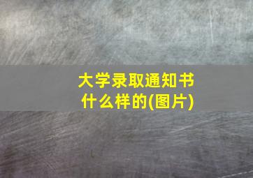 大学录取通知书什么样的(图片)