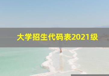 大学招生代码表2021级