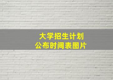 大学招生计划公布时间表图片