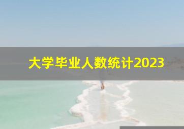 大学毕业人数统计2023